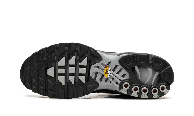 Nike Air Max Plus TN Multi Swoosh
